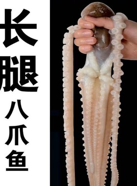 海鲜长腿八爪鱼活体冷冻鱿鱼商用新鲜批发章鱼爆头超大八爪水产