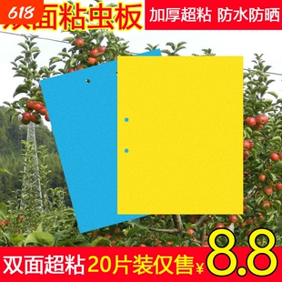 粘虫板针蜂小飞虫黄板粘蝇板防水大棚诱虫板蓟马粘板果蝇腻虫粘板