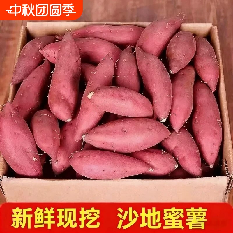 现挖蜜薯番薯地瓜红薯新鲜龙九黄心沙地山芋正宗批发软糯香甜蜜
