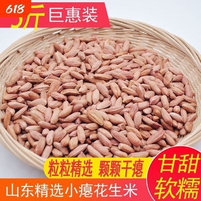 山东瘪花生米养胃瘪花生干瘪小花生米新鲜代餐花生仁农家