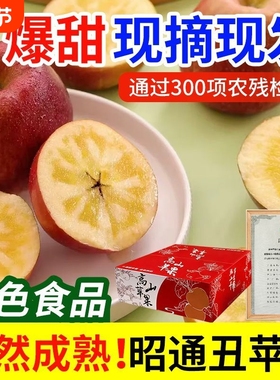 【绿色食品】云南昭通丑苹果脆甜冰糖富士苹果新鲜水果现摘香甜