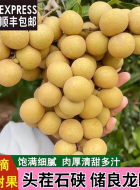 【现货头茬果】广东石硖储良龙眼新鲜水果当季桂圆茂名高州顺丰