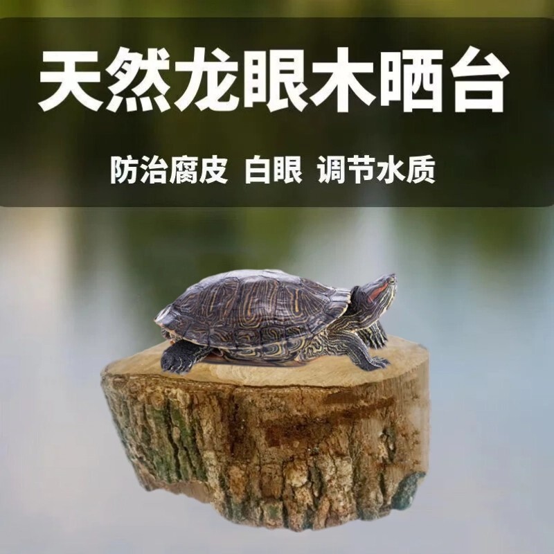 乌龟晒台龙眼木晒背台爬台沉木鱼缸造景摆件龙眼叶客厅生态缸龟缸