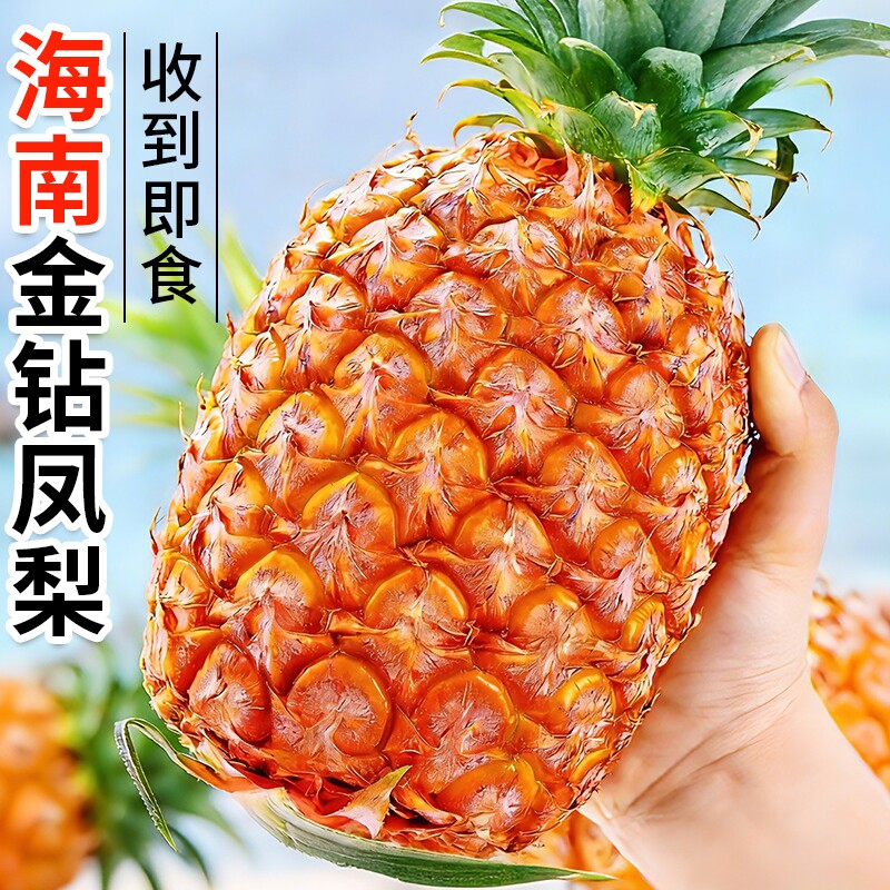 海南金钻凤梨新鲜水果树上熟芒果凤梨香水菠萝大果无眼整箱包邮