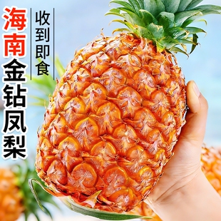 海南金钻凤梨新鲜水果树上熟芒果凤梨香水菠萝大果无眼整箱包邮