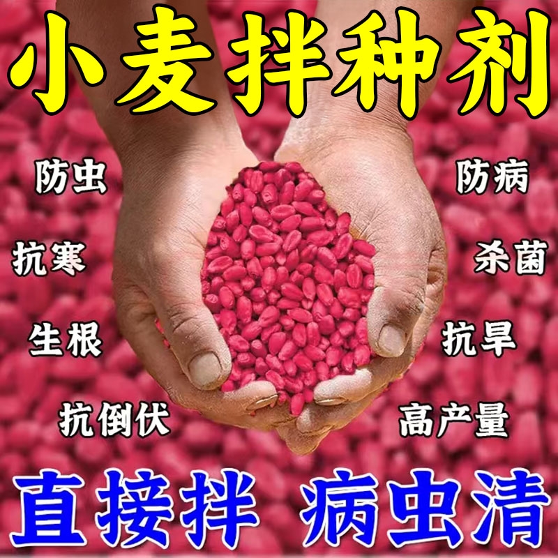 小麦拌种剂小麦专用包衣剂防虫抗病杀菌壮苗增产新型生物拌种菌剂