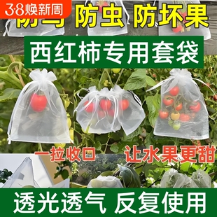 水果套袋防虫网袋防鸟桃子西红柿包瓜果专用保护袋子葡萄石榴柿子