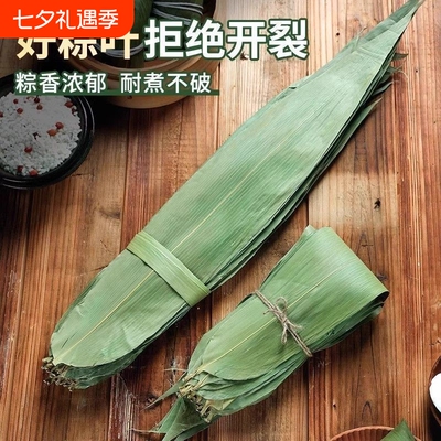 粽子叶粽叶干大号棕叶新鲜包粽子的竹叶子干粽叶商用箬叶材料