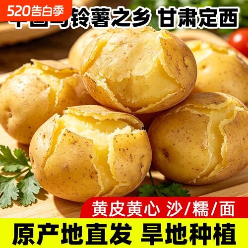 苹果优选甘肃定西土豆新鲜现挖黄皮黄心沙面蔬菜农家自种粉糯洋芋