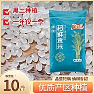稻先菜！东北正宗稻香贡米10斤