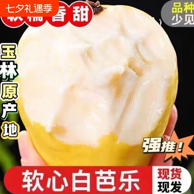 爆款】正宗广西脆甜白心芭乐白心软糯番石榴当季新鲜现摘孕妇水果