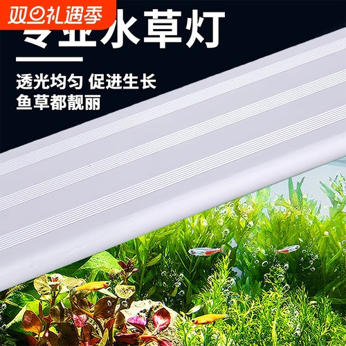 【附近1W+】LED专业照明水草灯