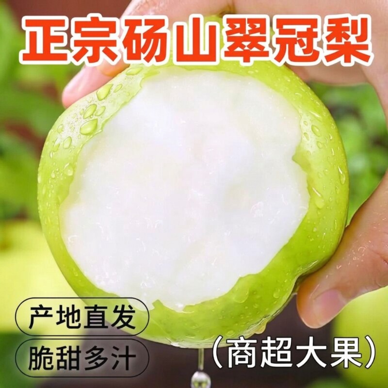 梨子新鲜水果砀山青梨皇冠梨当季翠冠梨香酥脆蜜早雪梨包邮图片