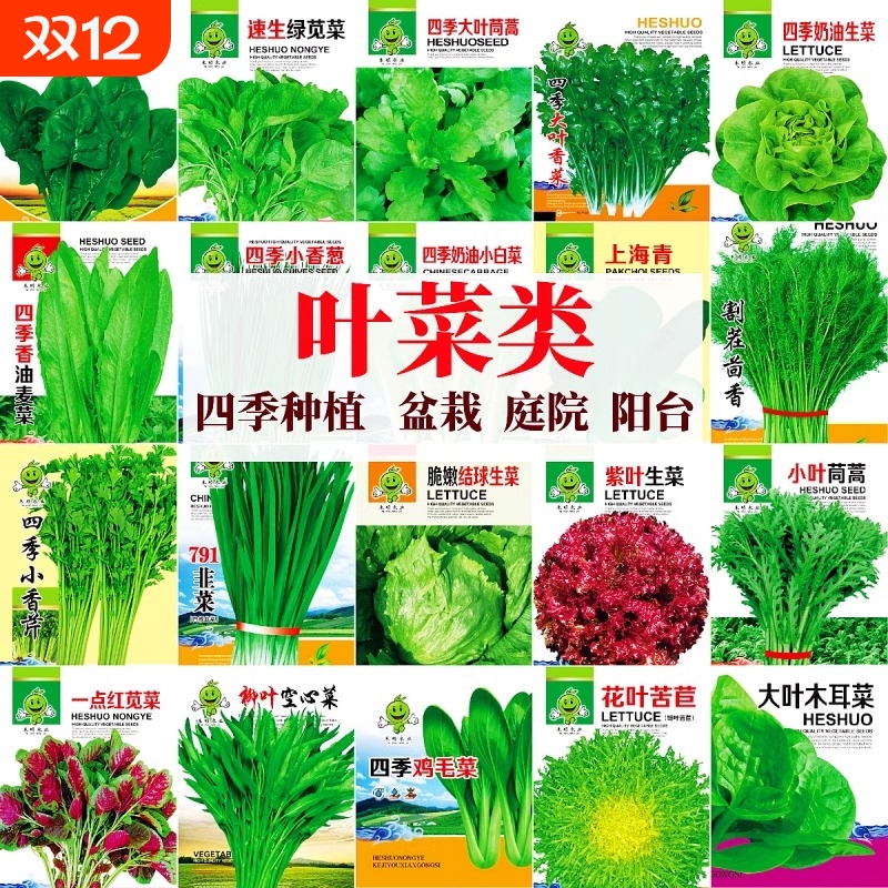 四季奶油生菜种子阳台种植四季播儿童种植小盆栽蔬菜口感好有机籽