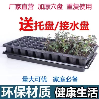 育苗穴盘家庭育苗种植神器套装营养钵蔬菜多肉育种扦插盒农用托盘