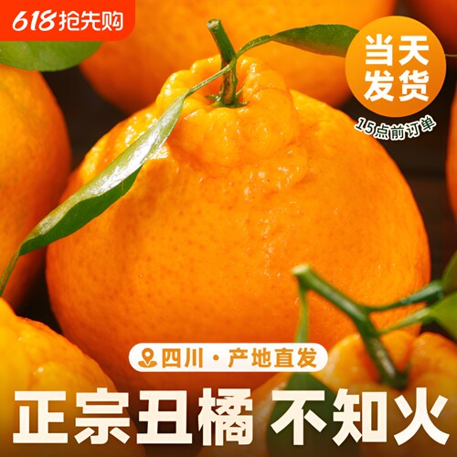 「商超品质」四川不知火丑橘现货