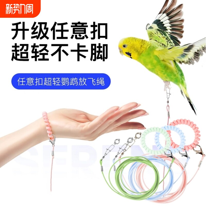 专用鹦鹉牵引绳放飞绳弹力不伤脚外出训练绳虎皮玄凤牡丹脚环脚链