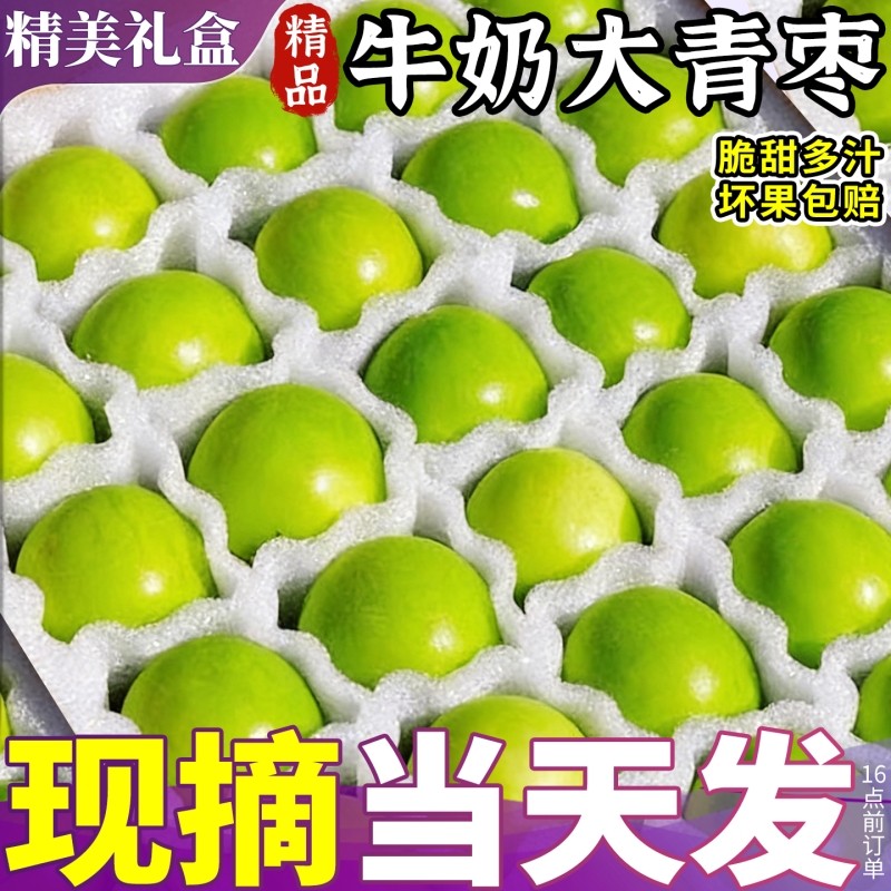 礼盒装福建牛奶大青枣新鲜水果当季现摘贵妃大蜜枣冬枣苹果枣5斤