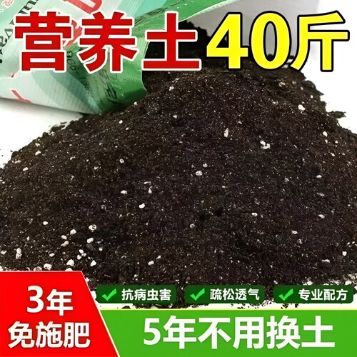 通用营养土育苗多肉养花种菜专用土养花土通用型土壤泥土花卉疏松