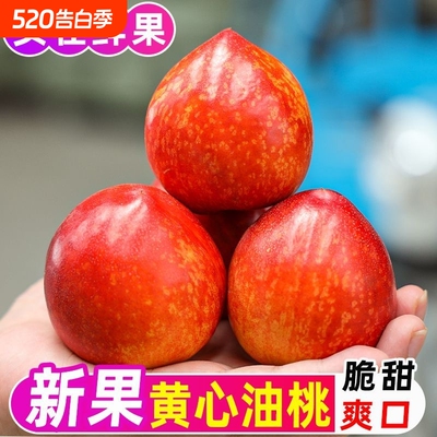 黄心油桃新鲜大果现摘脆甜桃子黄肉水密桃孕妇蜜脆桃当季水果整箱