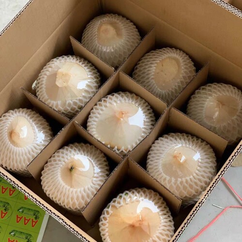 正宗海南椰青新鲜椰子2/4/6/9个装当季水果去皮一整箱特产包邮
