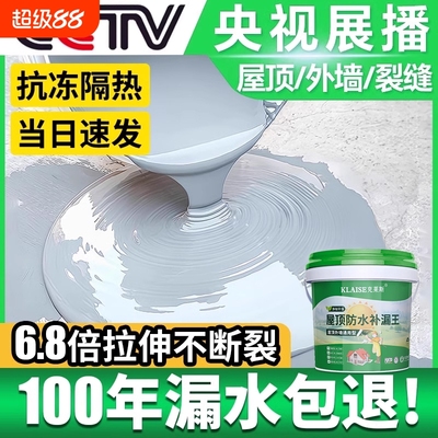 【十大国际品牌】屋顶防水涂料