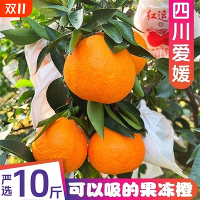 SVIP爱媛38号果冻橙10斤手剥橙子四川柑橘子新鲜水果整箱包邮