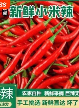 云南小米辣椒新鲜红辣椒朝天椒农家特辣批发泡椒尖椒5斤9斤自种