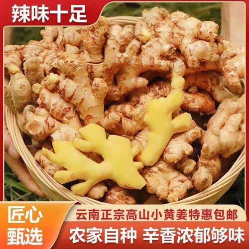 农家原生态种植土姜新鲜生姜