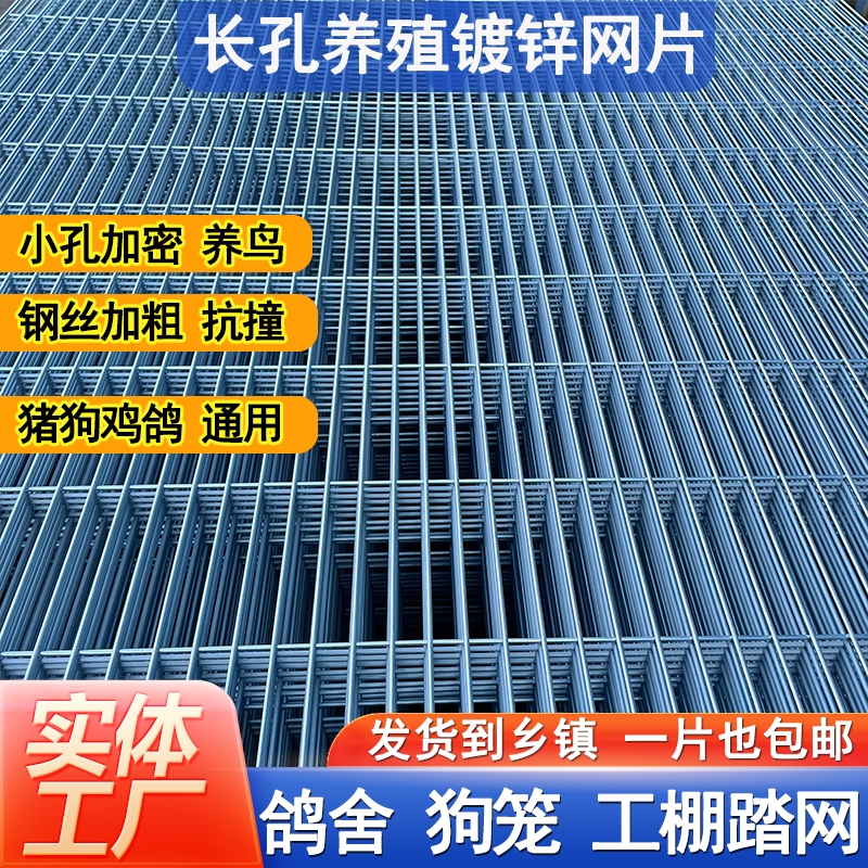 镀锌铁丝网片加粗加密网格养殖