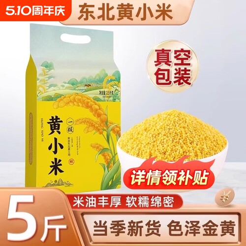 东北黄小米新米煮粥粗粮