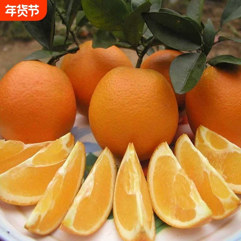 新鲜脐橙橙子甜蜜多汁现采直发当季水果甜橙子天然维c整箱年货节,水产肉类/新鲜蔬果/熟食,橙,淘宝优惠券,粉丝福利购,淘宝优惠卷