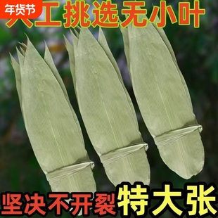 特大号野生干粽叶新鲜包粽子箬叶端午必备粽叶干大号家用粽子叶干