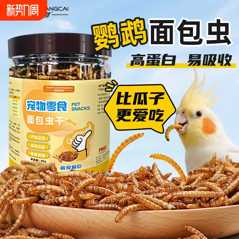 鹦鹉适用面包虫干黄粉虫干高蛋白饲料互动零食无盐活体饲料替代品
