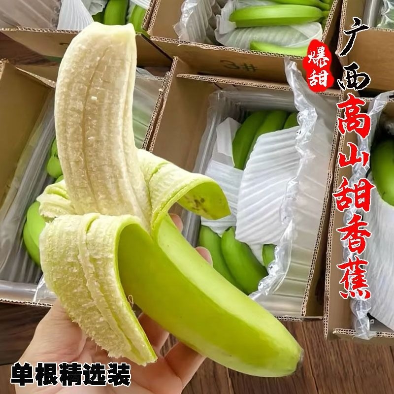 广西高山香蕉甜威尼斯青绿皮香蕉自然熟新鲜当季孕妇水果单根现摘