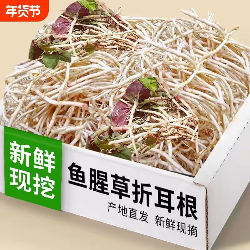 折耳根新鲜鱼腥草现挖新鲜嫩芽凉拌即食当季时令蔬菜特产洗净包邮,水产肉类/新鲜蔬果/熟食,其它,淘宝优惠券,粉丝福利购,淘宝优惠卷