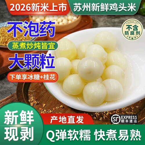 苏州特产芡实正宗太湖大颗粒大果