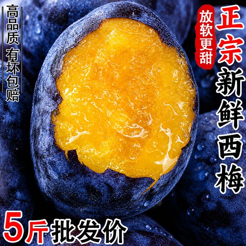 正宗四川甜西梅新鲜水果当季大果