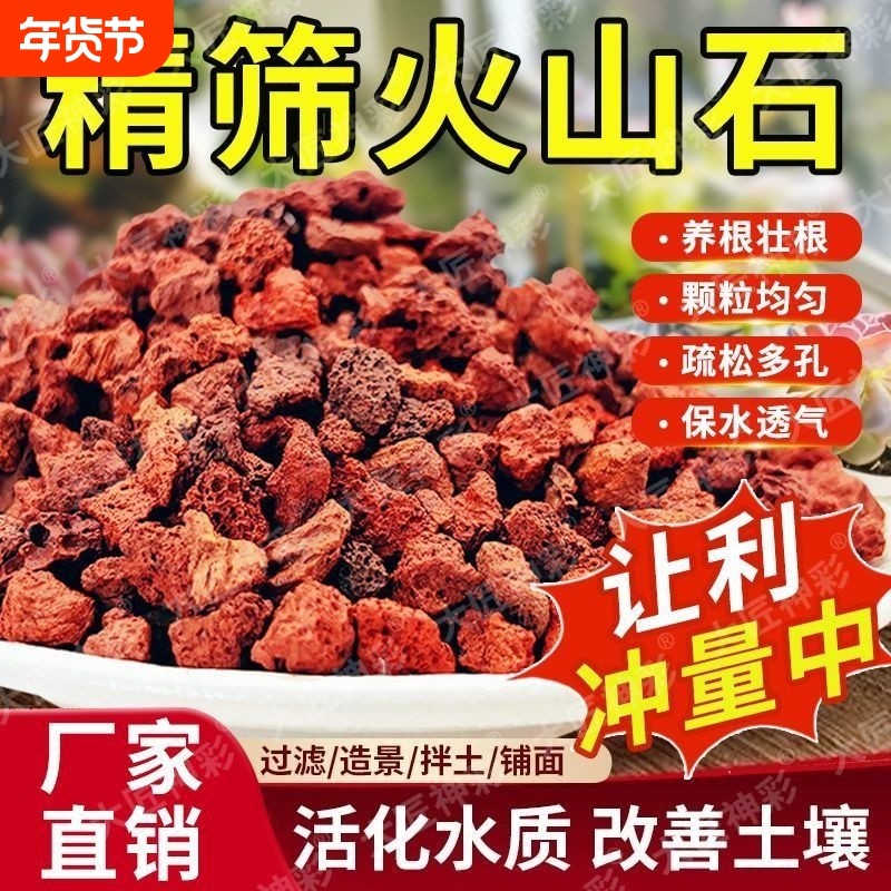 精品火山石鱼缸专用底砂大块颗粒免洗滤材乌龟造景装饰底沙火山岩,宠物/宠物食品及用品,造景/装饰,淘宝优惠券,粉丝福利购,淘宝优惠卷
