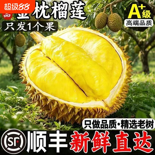 泰国进口A级金枕榴莲鲜果老树鲜果只做A级鲜果顺丰包邮坏果包赔