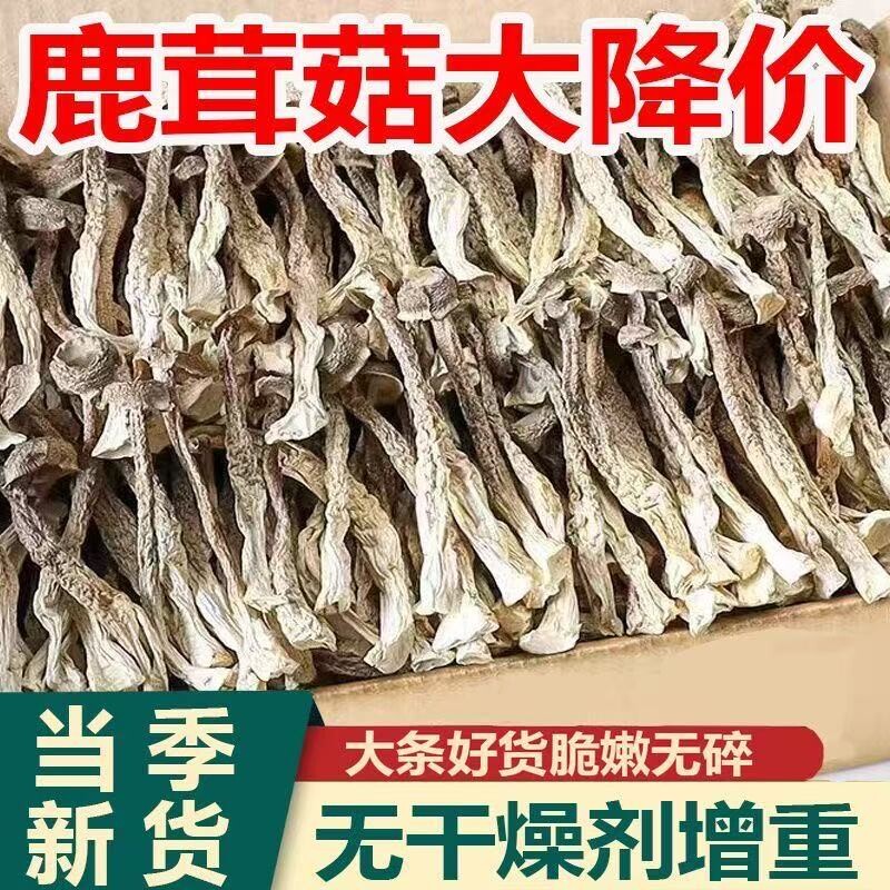 鹿茸菇干货农家精挑细选菌菇菇食用干锅无干燥剂鹿茸菌类煲汤炖汤图片