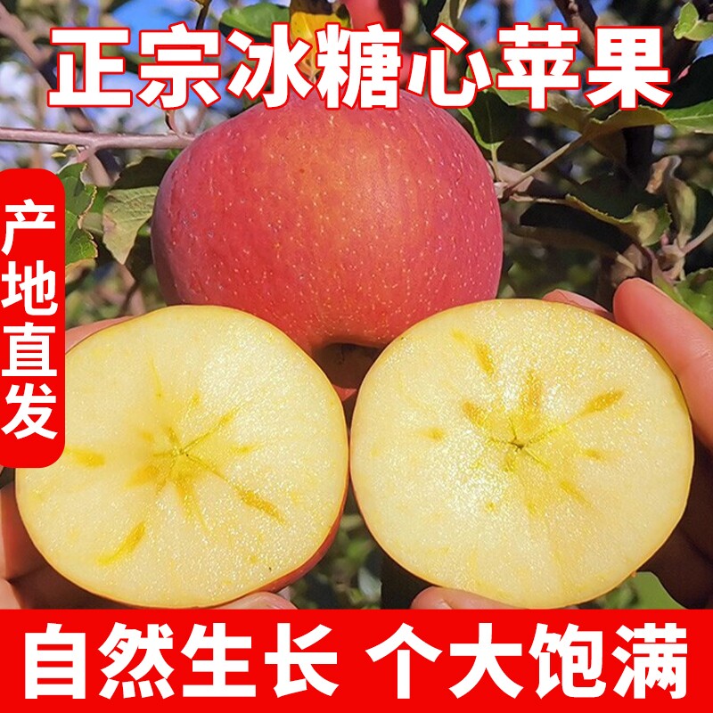 圣诞猴甘肃大漠冰糖心苹果红富士新鲜水果丑果包邮生鲜精选年货节