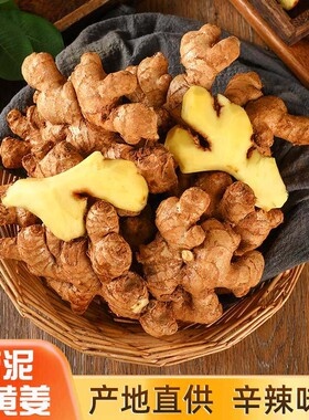 山东大姜优质生姜老姜月子姜风干姜现挖鲜姜新鲜老黄姜食用精选