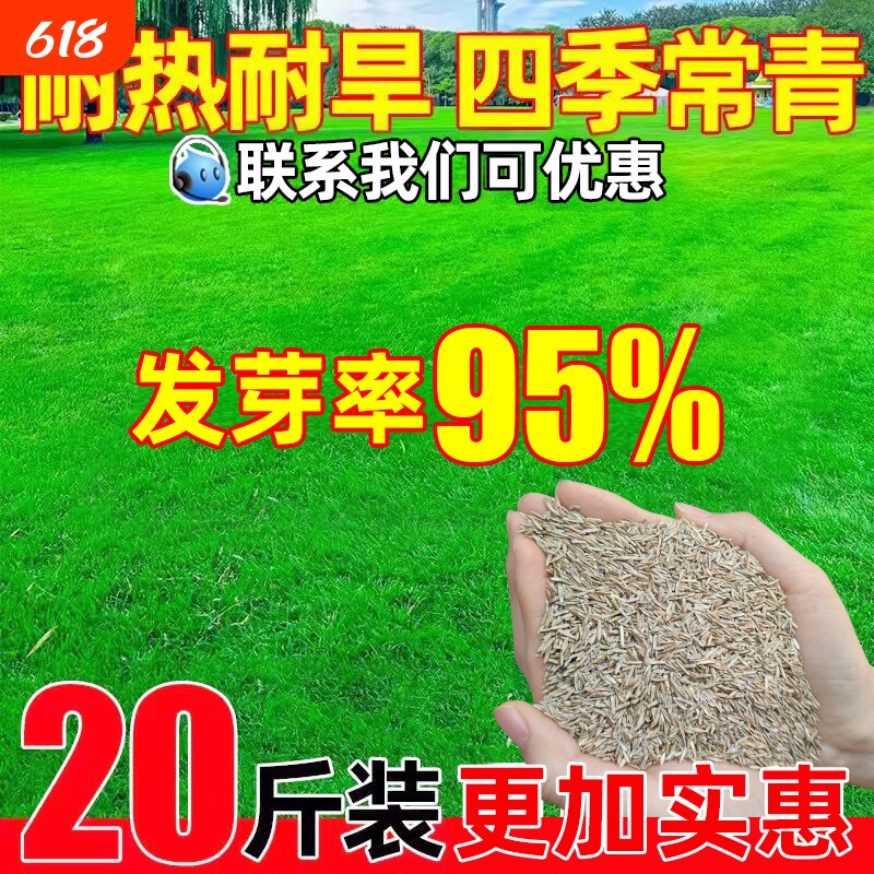草坪草籽四季常青庭院地毯草狗牙根护坡固土绿化黑麦草草子种籽孑