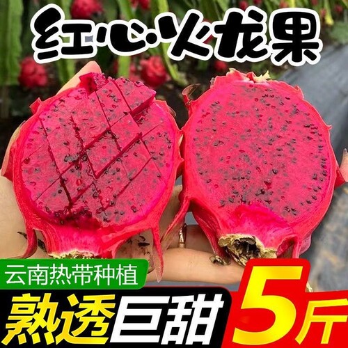 西双版纳红心红肉火龙果装整箱现摘超甜当季新鲜时令热带雨林水果