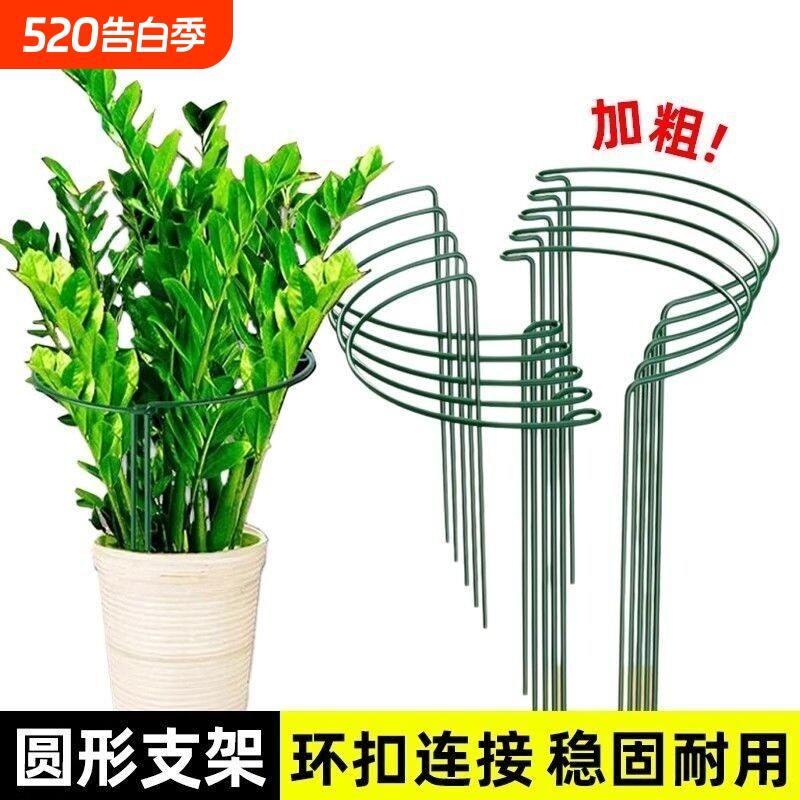 新款护花架支撑架半圆花支架钱串子金钱树花蟹爪莲花架子桌面绿植