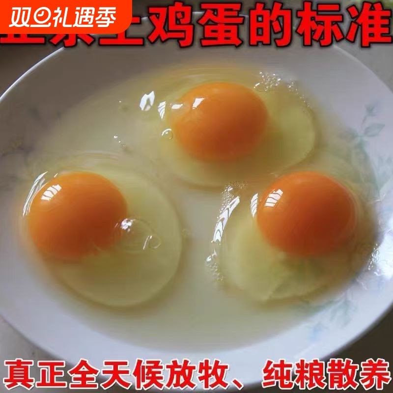 九华山产地直发正宗土鸡蛋虫草蛋农家散养新鲜笨鸡蛋竹林散养顺丰