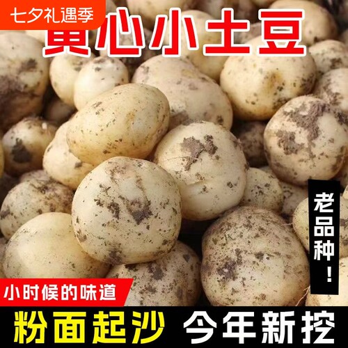 恩施小土豆包邮农家正宗新鲜