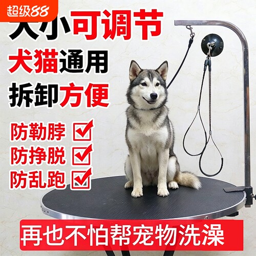 宠物美容吊绳挂绳美容桌吊绳子钢丝绳脖子挂脖狗狗猫咪洗澡固定绳
