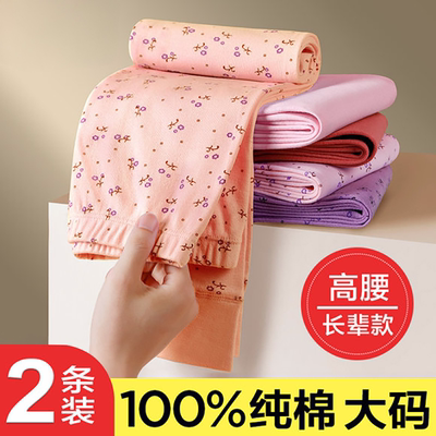 中老年人秋裤纯棉女士妈妈保暖裤